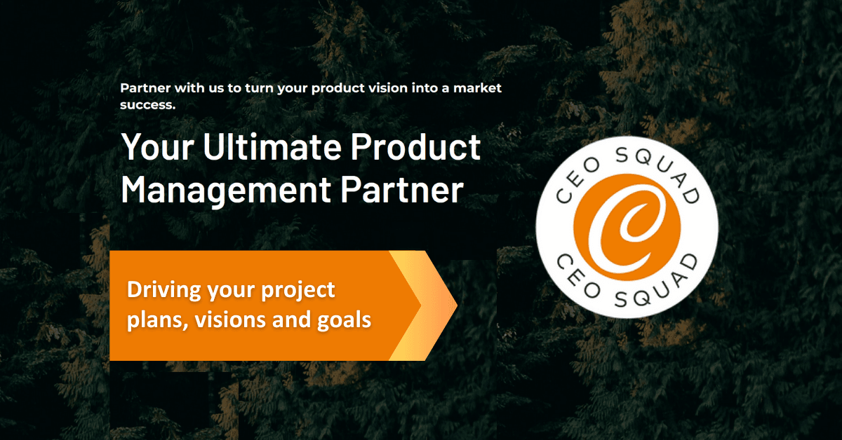 Program Management